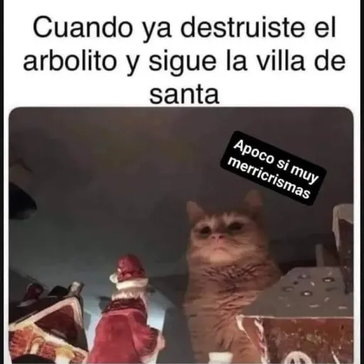 creator AkiraNicole-22😺💎's avatar