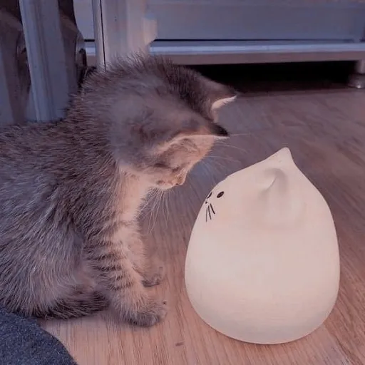 creator ~[𝚄𝚂𝙴𝚁𝙽𝙾𝚃𝙵𝙾𝚄𝙽𝙳]~'s avatar