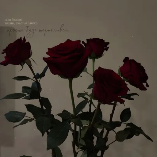 creator Хуа Лянь290's avatar