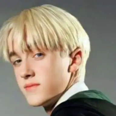chat with ai character: Draco malfoy