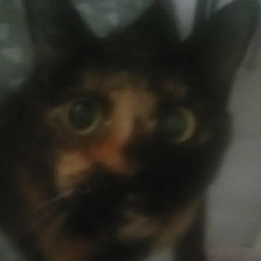 creator Pomec's avatar