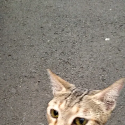 creator Raven0999's avatar