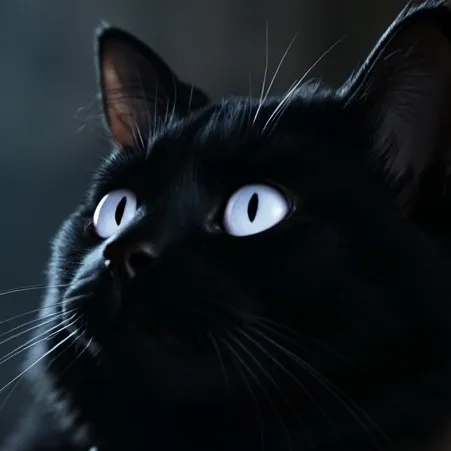 chat with ai character: MD Mansion