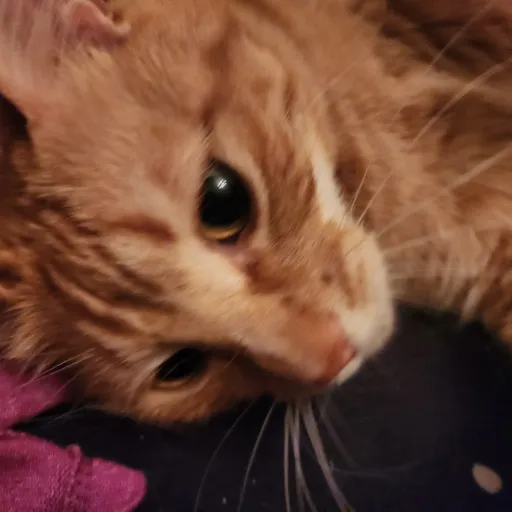 creator sLyThErIn_dRaCo's avatar