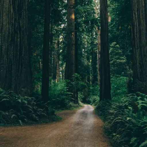 creator ☆NIRVANA☆'s avatar