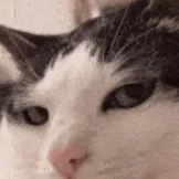 chat with ai character: Maxito 