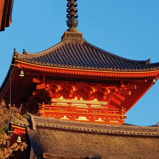 creator Fredox's avatar