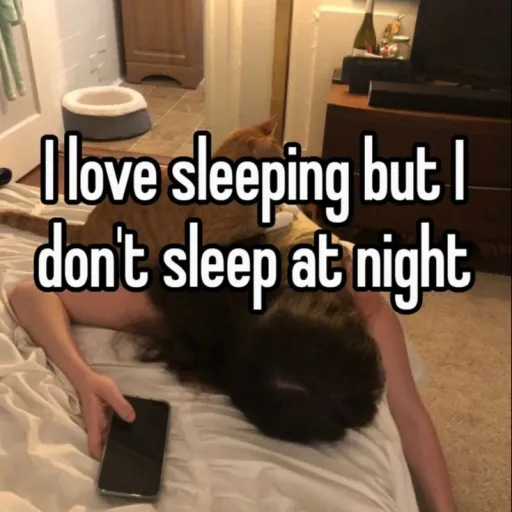 creator ⋆⭒˚.⋆ᶻ 𝗓 𐰁⋆⭒˚.⋆'s avatar