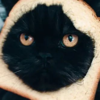 creator Weirdakftoxic's avatar