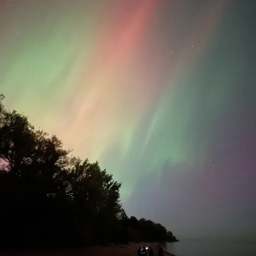 creator Softykins's avatar