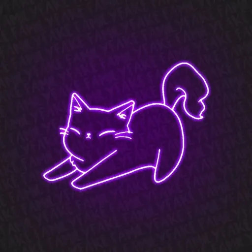 creator -♡☆♡-'s avatar