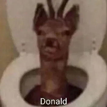 creator polla945 a ses lol's avatar