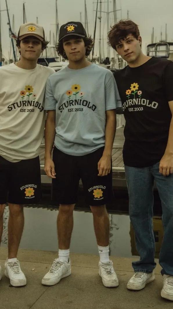 ai character: sturniolo triplets background