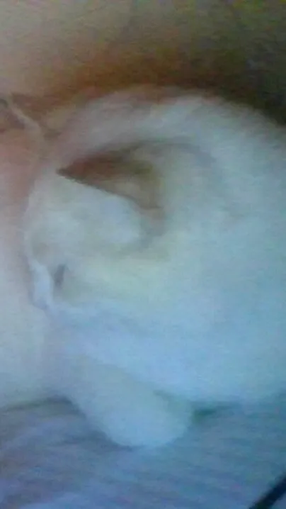 ai character: luna background