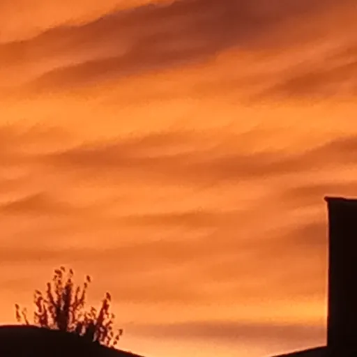 creator banana109's avatar