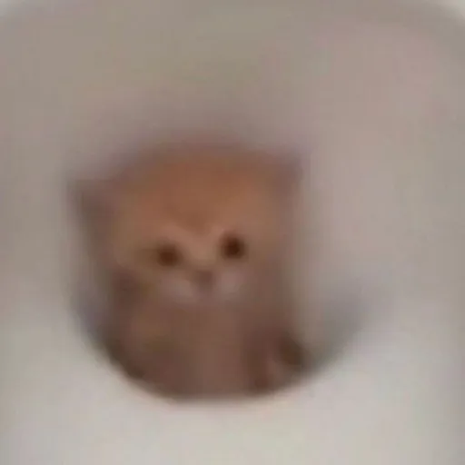 creator /°potato°\'s avatar