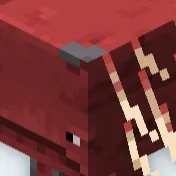 chat with ai character: Strider Life