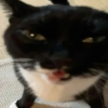 chat with ai character: Slap Battles