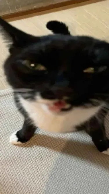 ai character: Slap Battles background