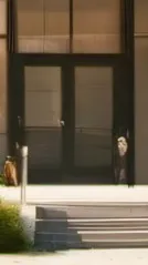 ai character: s.e.s ficility  background