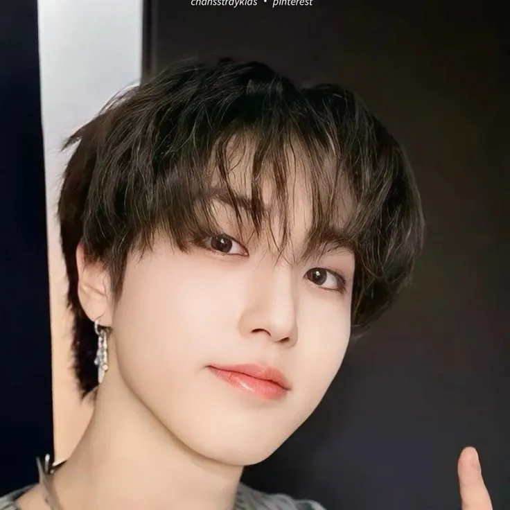 chat with ai character: HAN JISUNGG!!!!