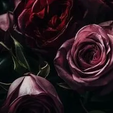 chat with ai character: Dark Romance <3