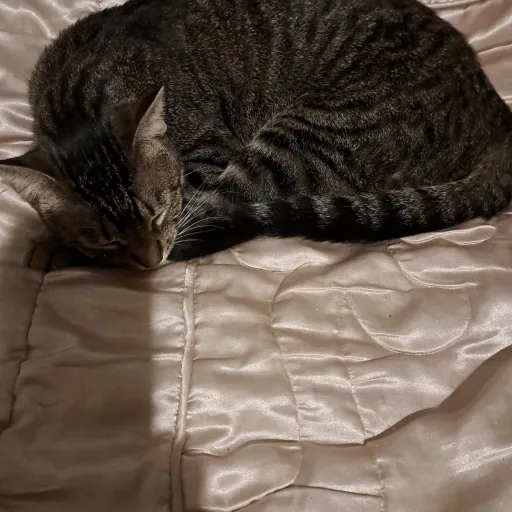 creator SoGD32's avatar