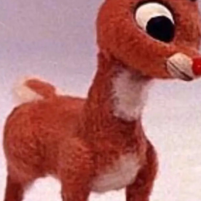 chat with ai character: Rudolph (1964)
