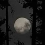 creator 🖤Katya࿐✮𝄟⃝'s avatar