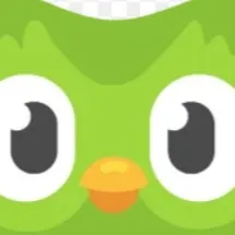 chat with ai character: Duolingo Owl