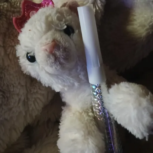 creator meow meow is cute's avatar