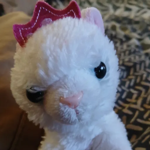 creator meow meow is cute's avatar