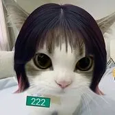 creator NIshimur★ R¡k¡'s avatar