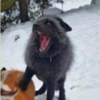 creator ◆~jimmy~◆'s avatar