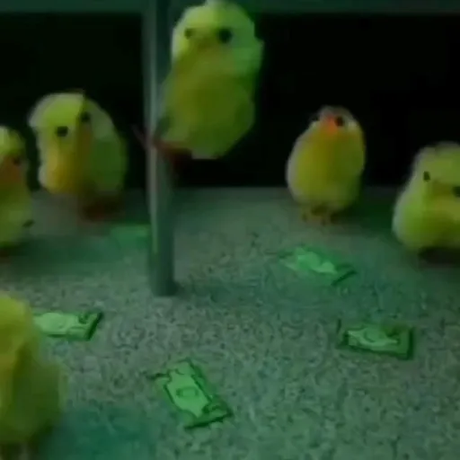 creator Putty Kitty's avatar