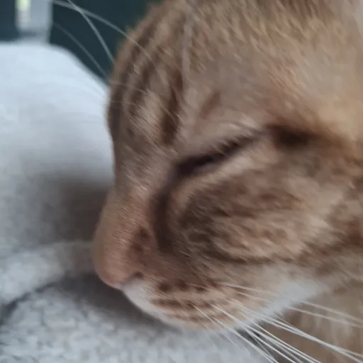 creator ~PREPPY_GURL~'s avatar