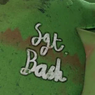 chat with ai character: Sergeant Bash