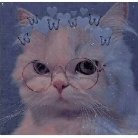 creator Miranda 123456789😺's avatar