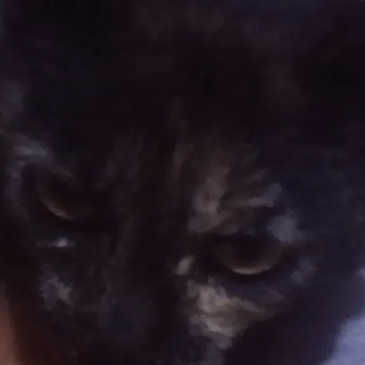 creator 🇵🇪Hola_57😌💅🇵🇪's avatar