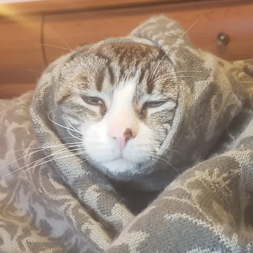 creator AriaOMG1020's avatar