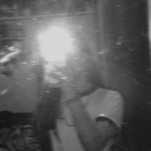 creator Alice 🐼❤️'s avatar