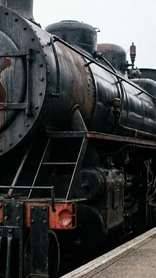 ai character: Someone help pls😭 background