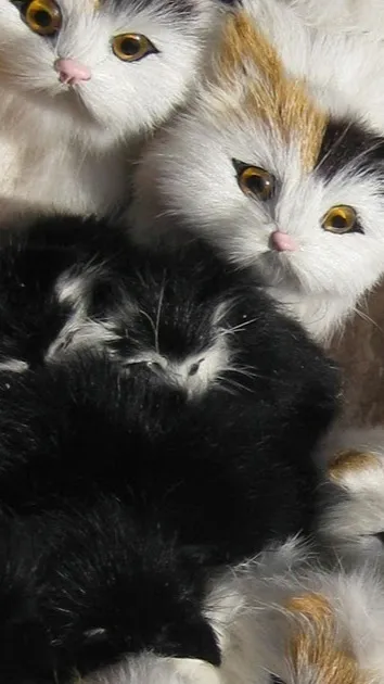 ai character: Jjk Cutest Animal background