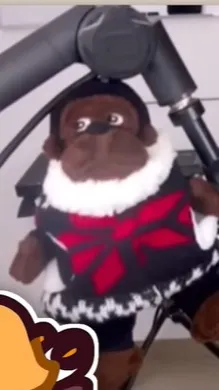 ai character: yorch background