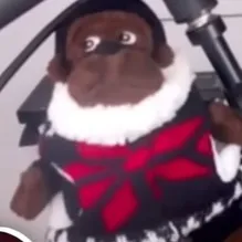 chat with ai character: yorch