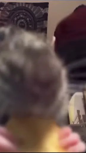 ai character: matt background