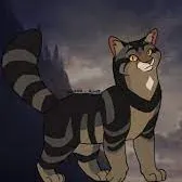 chat with ai character: Warriors: AshPaw