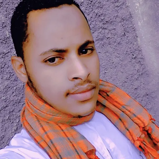 creator Arefat Ahmedin's avatar