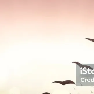 chat with ai character: my world