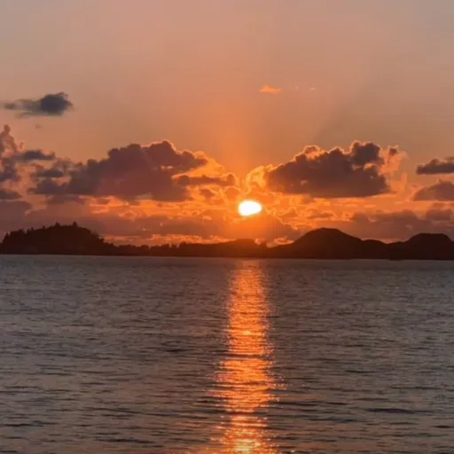 creator ☆~Coco's bean~☆'s avatar